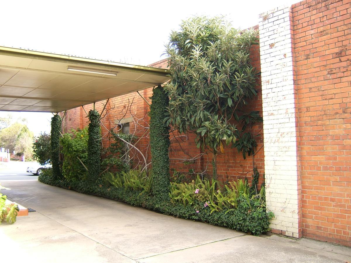 Clifton Motel Albury Extérieur photo